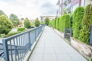 Photo 4: 114 2943 NELSON Place in Abbotsford: Central Abbotsford Condo for sale in "Edgebrook" : MLS®# R2110545