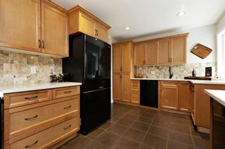 Photo 10: 4561 UPLANDS Drive in Langley: Langley City House for sale : MLS®# R2869925