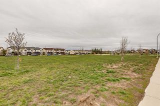 Photo 19: 407 117 Copperpond Common SE in Calgary: Copperfield Apartment for sale : MLS®# A2131080