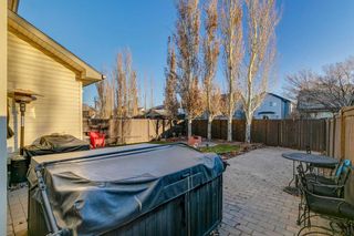 Photo 33: 5327 Copperfield Gate SE in Calgary: Copperfield Detached for sale : MLS®# A2092784