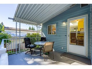 Photo 29: 34 2315 198 Street in Langley: Brookswood Langley Manufactured Home for sale in "DEER CREEK ESTATES" : MLS®# R2492993