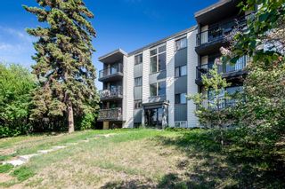 Photo 19: 305 2734 17 Avenue SW in Calgary: Shaganappi Apartment for sale : MLS®# A2054151