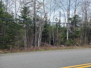 Photo 4: Belmont Road in Belmont: 104-Truro / Bible Hill Vacant Land for sale (Northern Region)  : MLS®# 202309405