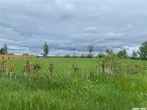 Photo 7: Lot 1 Rural Address in Turtle Lake: Lot/Land for sale : MLS®# SK926670