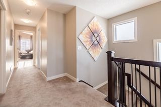 Photo 26: 3531 3 Avenue SW in Calgary: Spruce Cliff House for sale : MLS®# C4179817