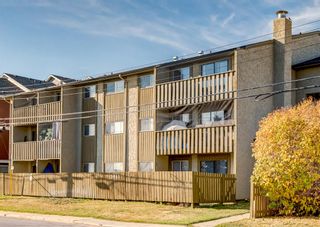 Photo 1: 7 3911 1 Street NE in Calgary: Highland Park Apartment for sale : MLS®# A1219732