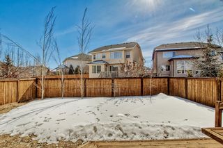 Photo 47: 17 Cranleigh Terrace SE in Calgary: Cranston Detached for sale : MLS®# A2034568