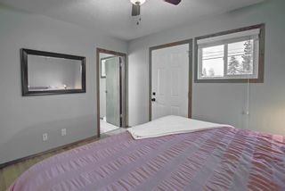 Photo 19: 9615 Assiniboine Road SE in Calgary: Acadia Detached for sale : MLS®# A1202553