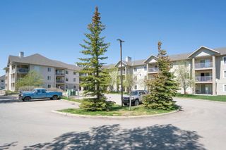 Photo 11: 305 4000 Citadel Meadow Point NW in Calgary: Citadel Apartment for sale : MLS®# A2046004