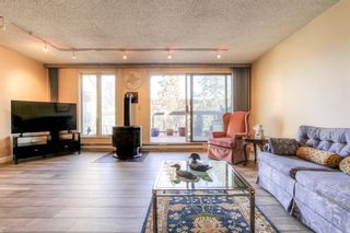 Photo 6: 301 1229 Cameron Avenue SW in Calgary: Lower Mount Royal Apartment for sale : MLS®# A1095141