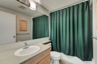 Photo 14: 109 835 19 Avenue SW in Calgary: Lower Mount Royal Apartment for sale : MLS®# A2053812