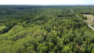 Photo 2: PARCEL A Barneys River Road in Avondale: 108-Rural Pictou County Vacant Land for sale (Northern Region)  : MLS®# 202016062