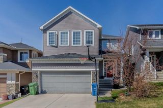 Photo 1: 246 Evanspark Circle NW in Calgary: Evanston Detached for sale : MLS®# A2129795