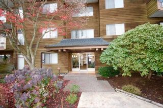 Photo 9: 104 11957 223 STREET in Maple Ridge: West Central Condo for sale : MLS®# R2323481