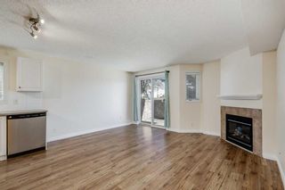 Photo 13: 102 2005 24 Street SW in Calgary: Richmond Apartment for sale : MLS®# A2110478