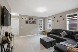 Photo 18: 147 Red Embers Square NE in Calgary: Redstone Detached for sale : MLS®# A2049079