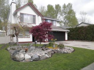 Photo 1: 23843 119A Avenue in Maple Ridge: Cottonwood MR House for sale : MLS®# V1116745