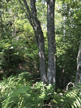 Photo 10: Lot 24A East Berlin Road in East Berlin: 406-Queens County Vacant Land for sale (South Shore)  : MLS®# 202222050