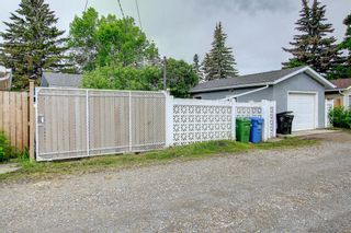 Photo 41: 724 Macleay Road NE in Calgary: Mayland Heights Detached for sale : MLS®# A1232203
