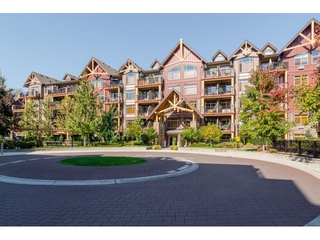 Main Photo: 368 8328 207A Street in Langley: Willoughby Heights Condo for sale in "Yorkson Creek" : MLS®# R2005017