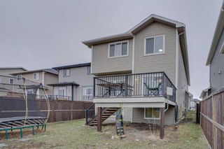 Photo 4: 422 Williamstown Green NW: Airdrie Detached for sale : MLS®# A2118927