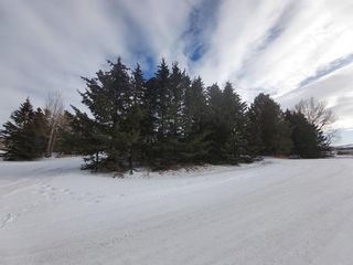 Photo 8: 5 Manitoba Avenue: Rural Kneehill County Detached for sale : MLS®# A2020613