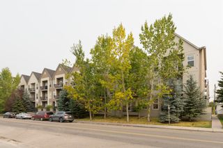 Photo 1: 102 15304 BANNISTER Road SE in Calgary: Midnapore Row/Townhouse for sale : MLS®# A1035618