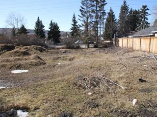 Photo 7: 2004 HOME Road NW in Calgary: Montgomery Land for sale : MLS®# C4000418