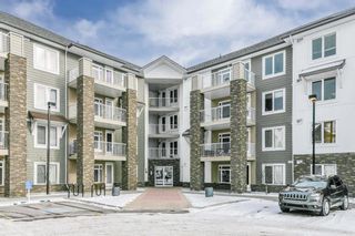 Main Photo: 1417 6118 80 Avenue NE in Calgary: Saddle Ridge Apartment for sale : MLS®# A2046318