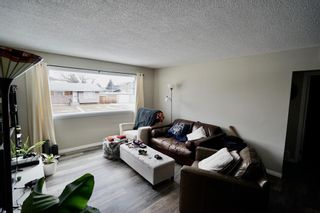 Photo 13: 173 & 175 Lissington Drive SW in Calgary: North Glenmore Park Duplex for sale : MLS®# A1175410