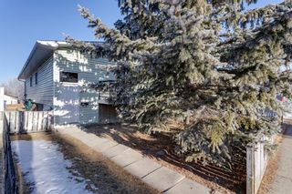 Photo 28: 553 Macewan Drive NW in Calgary: MacEwan Glen Semi Detached (Half Duplex) for sale : MLS®# A2019903