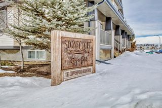Photo 43: 15 133 Copperpond Heights SE in Calgary: Copperfield Row/Townhouse for sale : MLS®# A2029612