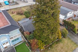 Photo 8: 104 GLYNDE Avenue in Burnaby: Capitol Hill BN House for sale (Burnaby North)  : MLS®# R2752756