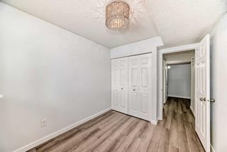 Photo 22: 6132 Bowness Road NW in Calgary: Bowness 4 plex for sale : MLS®# A2117560