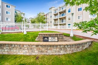 Main Photo: 219 290 Shawville Way SE in Calgary: Shawnessy Apartment for sale : MLS®# A2054451