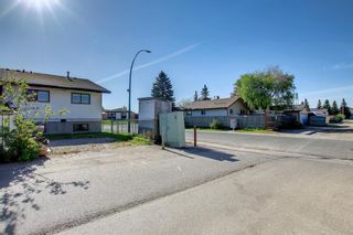 Photo 39: 174 Abalone Place NE in Calgary: Abbeydale Semi Detached for sale : MLS®# A1225319