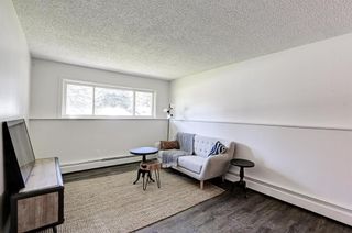 Photo 5: 45 366 94 Avenue SE in Calgary: Acadia Apartment for sale : MLS®# A1237610