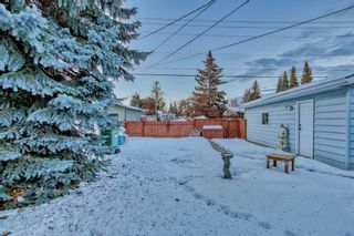 Photo 34: 744 Mapleton Drive SE in Calgary: Maple Ridge Detached for sale : MLS®# A2012390