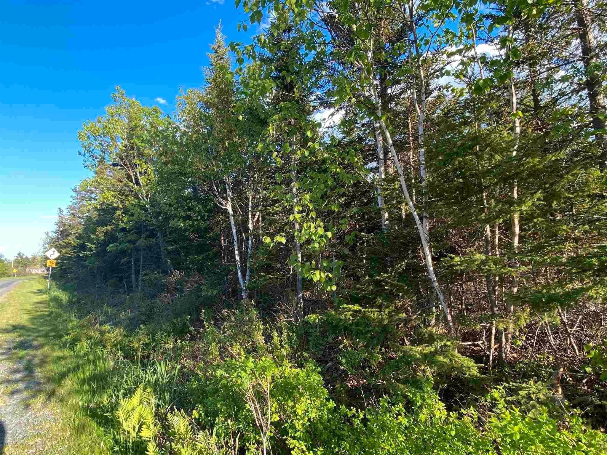 Main Photo: 16 acres Caribou Island Road in Caribou Island: 108-Rural Pictou County Vacant Land for sale (Northern Region)  : MLS®# 202201031