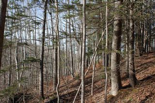Photo 15: Lot 1 Power Lot Road in Clementsport: Annapolis County Vacant Land for sale (Annapolis Valley)  : MLS®# 202227444