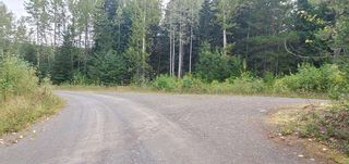 Photo 4: LOT A 37 Highway: Kitwanga Land for sale (Smithers And Area (Zone 54))  : MLS®# R2506362