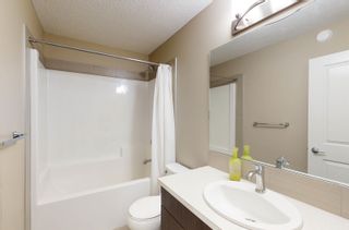 Photo 27: 4513 SALY PLACE Place in Edmonton: Zone 53 House for sale : MLS®# E4272187