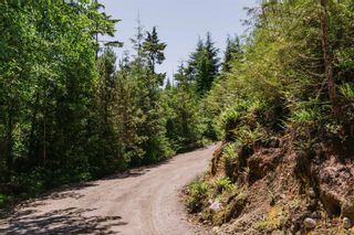 Photo 7: LOT D Hawkes Rd in Ucluelet: PA Ucluelet Land for sale (Port Alberni)  : MLS®# 924866