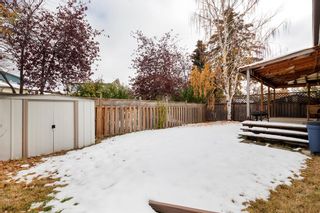 Photo 24: 192 Whitaker Close NE in Calgary: Whitehorn Detached for sale : MLS®# A2007520
