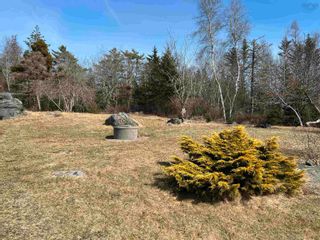 Photo 6: 5720 Highway 3 in East Jordan: 407-Shelburne County Vacant Land for sale (South Shore)  : MLS®# 202404710