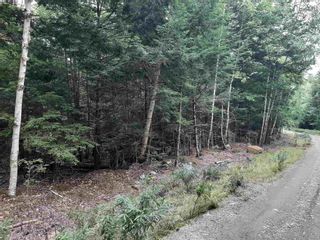 Photo 1: Lot 24 Bridle Path in Labelle: 406-Queens County Vacant Land for sale (South Shore)  : MLS®# 202126349