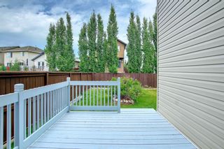 Photo 13: 287 Chapalina Terrace SE in Calgary: Chaparral Detached for sale : MLS®# A1246108