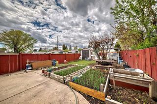 Photo 45: 2239 43 Street SE in Calgary: Forest Lawn Semi Detached (Half Duplex) for sale : MLS®# A2132707