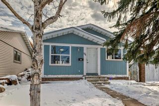 Photo 2: 176 Dovely Crescent SE in Calgary: Dover Detached for sale : MLS®# A2118047