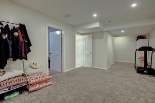 Photo 47: 810 Martindale Boulevard NE in Calgary: Martindale Detached for sale : MLS®# A1190438
